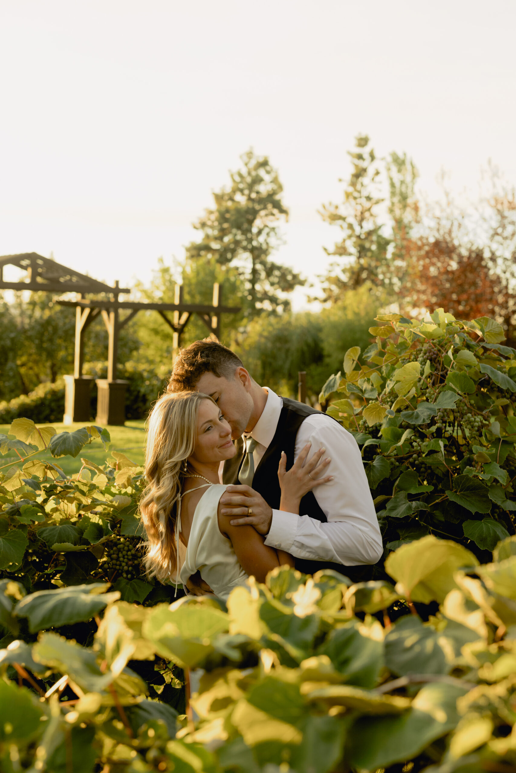 bride and groom posed romantically in a vineyard at beacon hill in spokane, washington